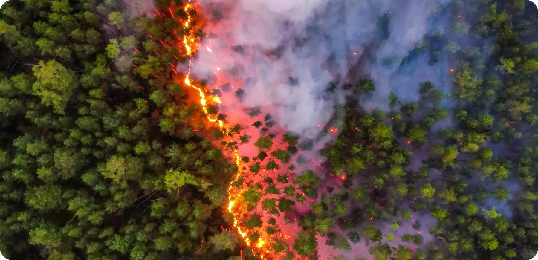 HS-UAV401 camera drone used for forest firefighting